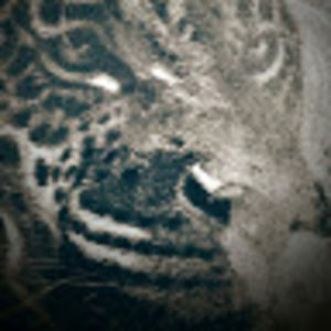 Meet your Posher, Devin